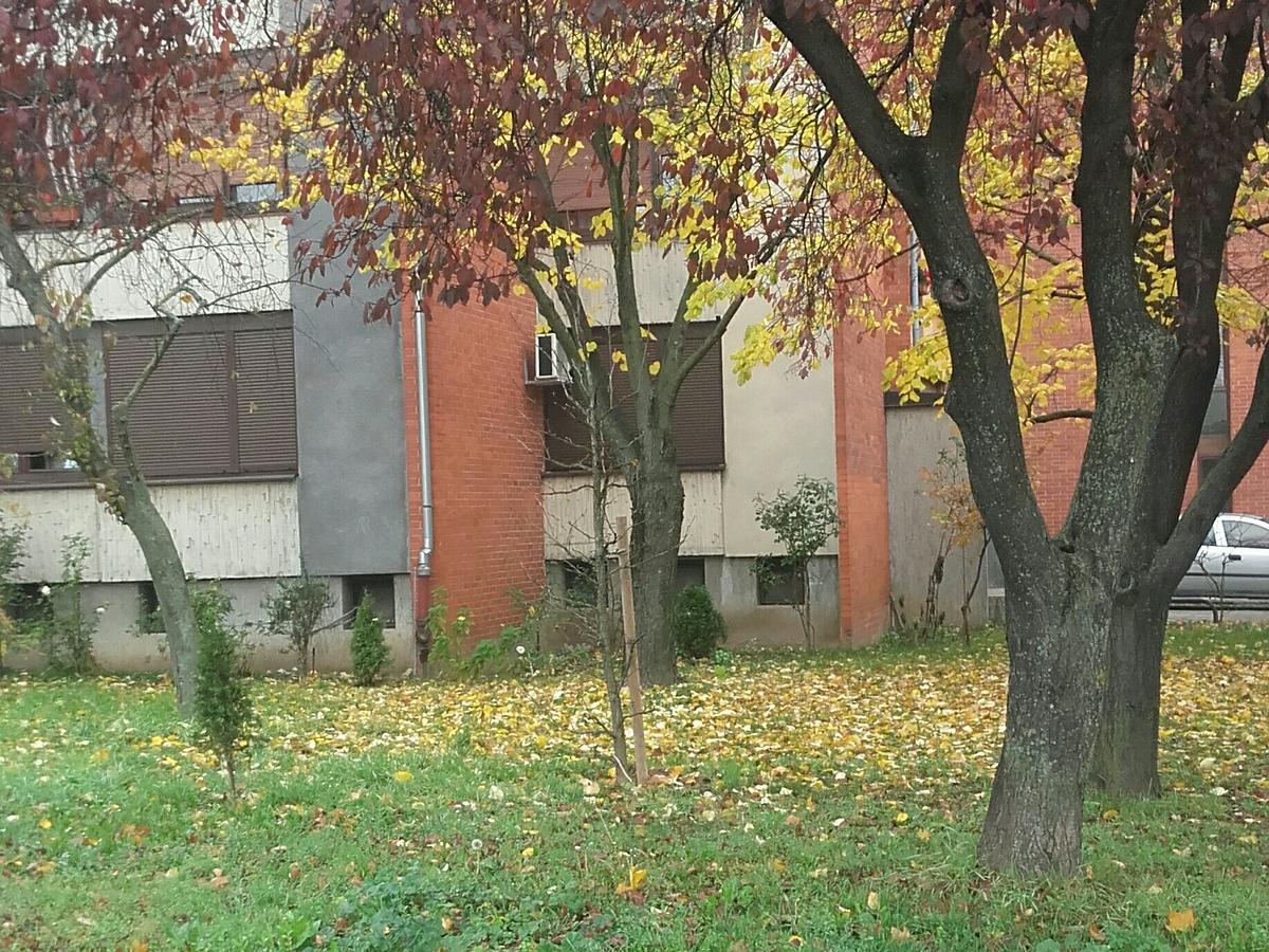 Apartment Ina Záhřeb Exteriér fotografie
